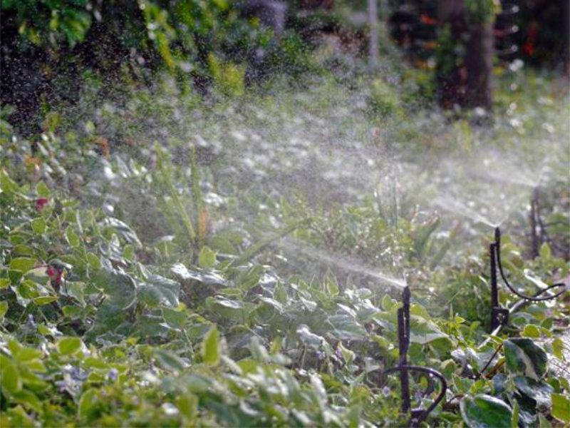 Dica de economia de água com RDV-NEA Irrigação