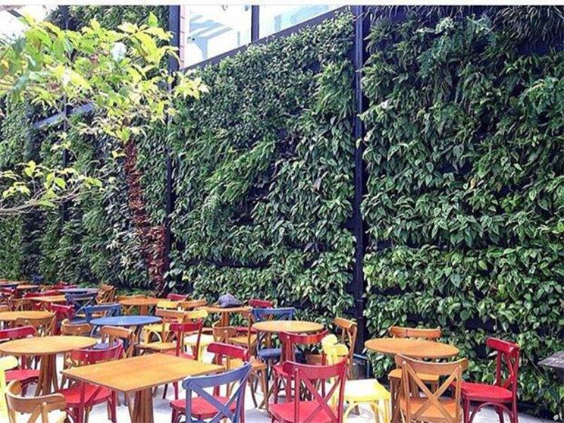 Verde e gastronomia, algo que a cada dia dá mais certo