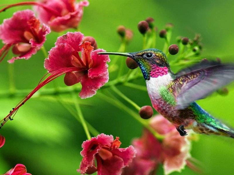 Confira nosso Especial Primavera 2016