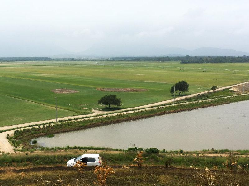 Green Grass investiu em um moderníssimo sistema de irrigação para sua unidade de produção no Rio de Janeiro