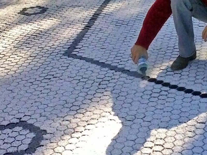 Produto Inovador mantém o solo seco e acessível