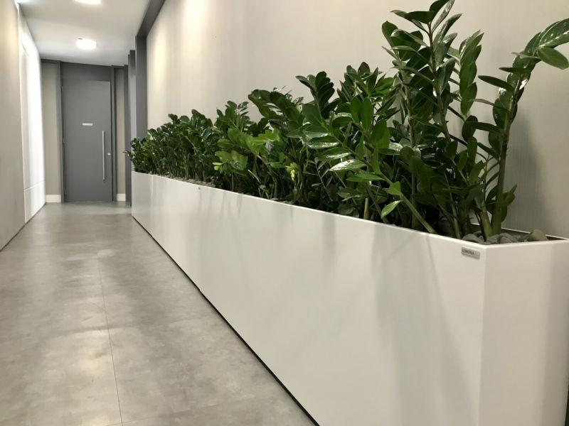 Customização de produtos: um desafio aos paisagistas