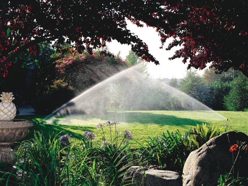 Tipos de irrigação existentes para jardins residenciais
