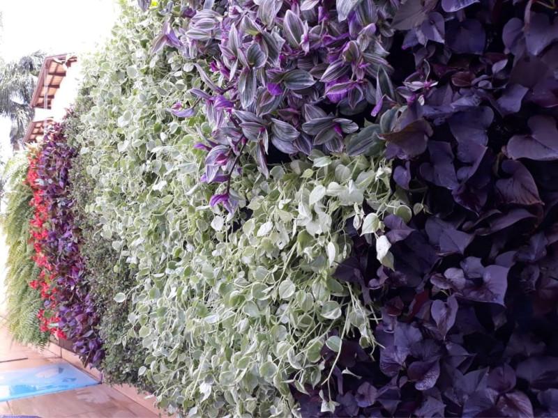 A GardenWall jardins verticais está levando seus produtos para todos os estados do Brasil