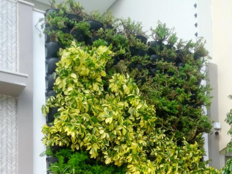 Husqvarna patrocina curso voltado para jardins verticais e telhados verdes em Recife
