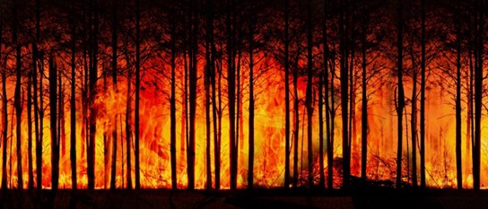 Mudancas climaticas 3