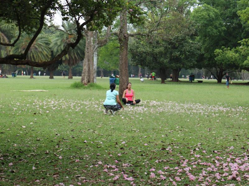 coluna benedito abbud primavera 8