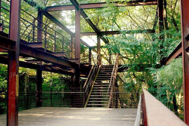 rosa kliass parque da juventude