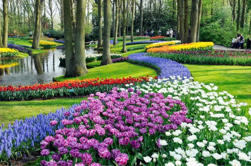 01 Parque Keukenhof Holanda