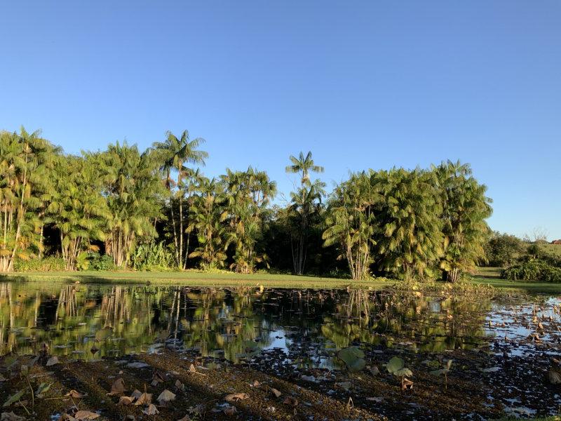 Clube Nautico Araraquara 05