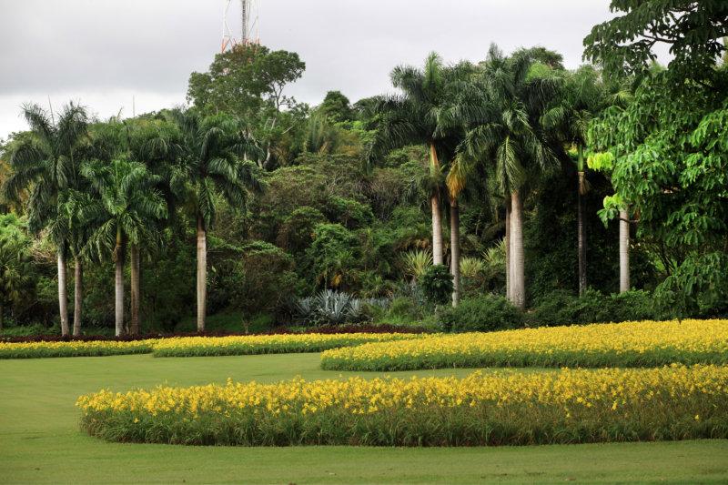 Clube Nautico Araraquara 08