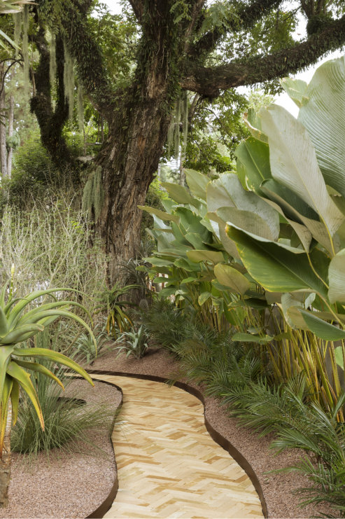 Jardim Semeando Futuro 2050 03