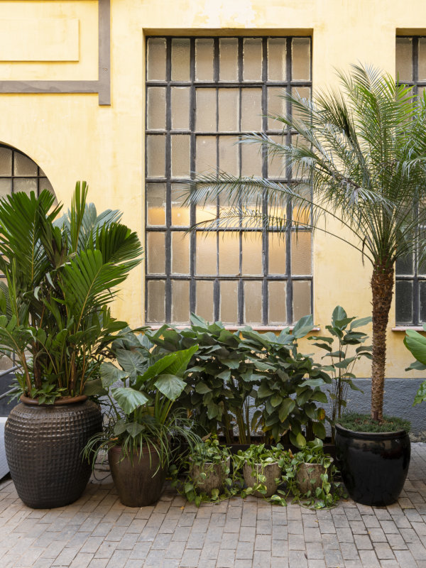 Jardim da Alameda CASACOR 2025 3