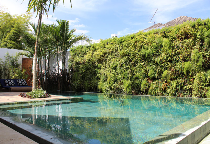 mercado tendencias paisagismo 03