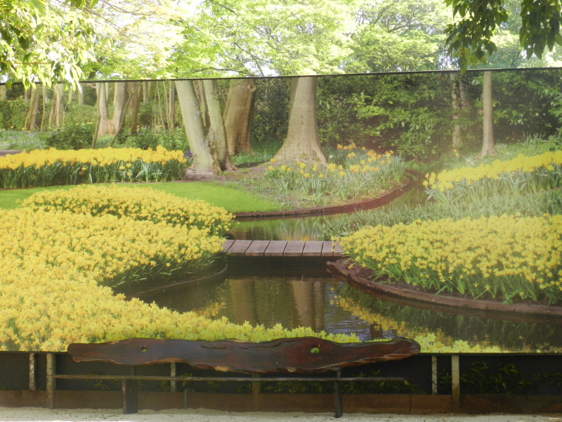expoflora 2016 41