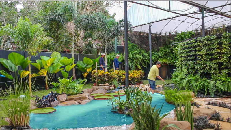 28 ENFLOR e 16 GARDEN FAIR 2