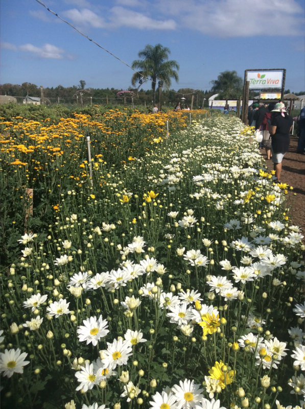 Expoflora 2019 8