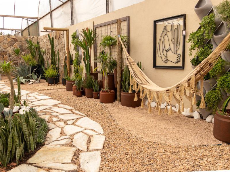 Ambiente 10 OASIS RUSTICO 1