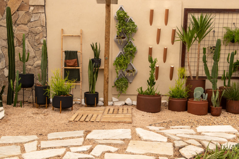 Ambiente 10 OASIS RUSTICO 3