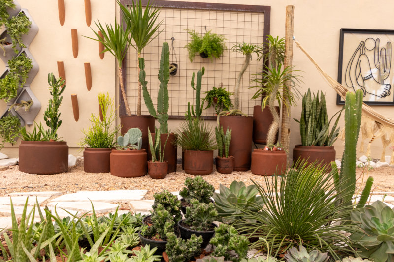 Ambiente 10 OASIS RUSTICO 5