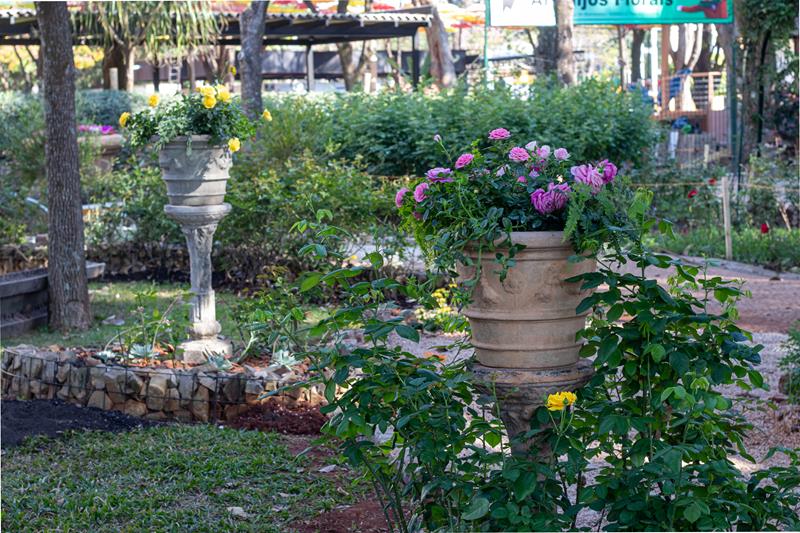 Ambiente 01 BOSQUE DO PAISAGISTA 10