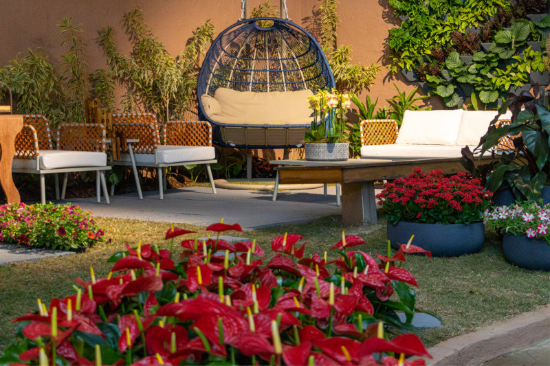 Ambiente 06 01