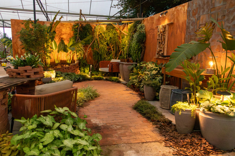 Ambiente 12 03