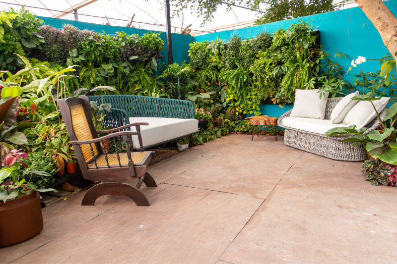 Ambiente 15 02