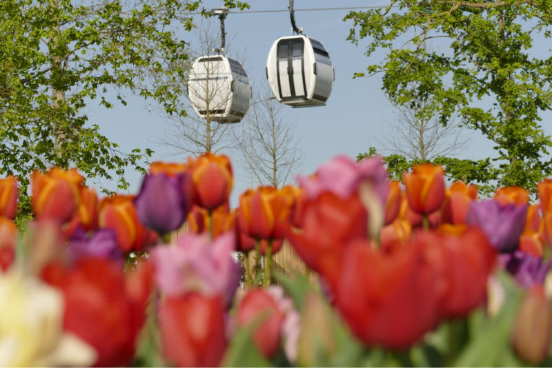 Floriade 2022 08
