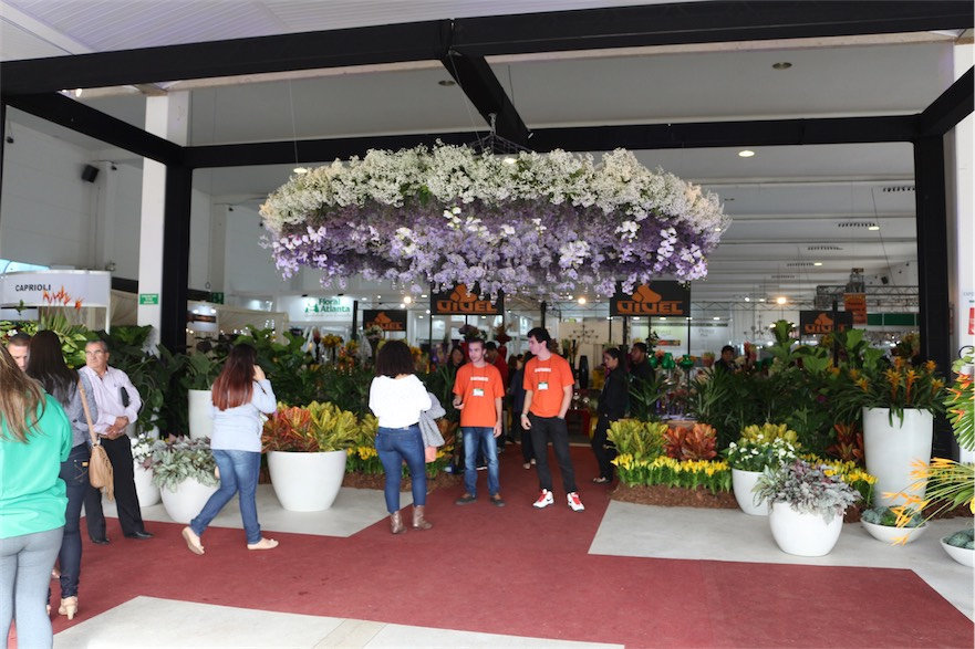 enflor garden fair 2016 1