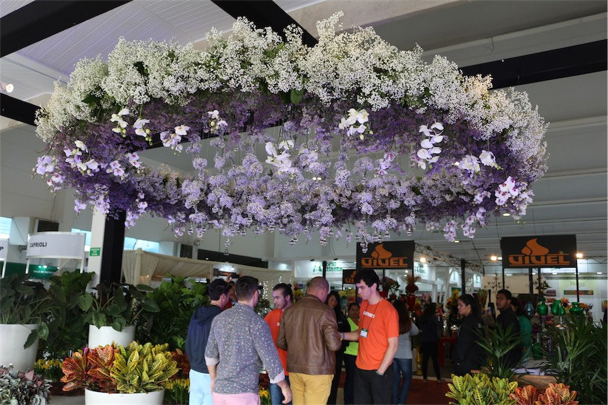 enflor garden fair 2016 2