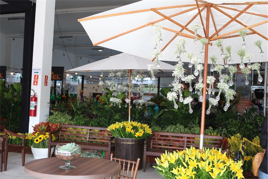 enflor garden fair 2016 3