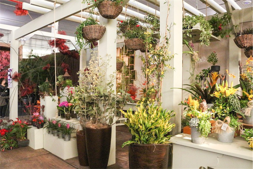 enflor garden fair 2016 4