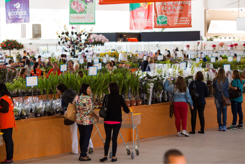 expoflora 2018 4