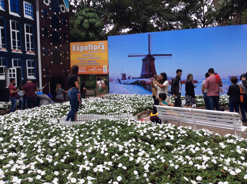 expoflora 2018 2