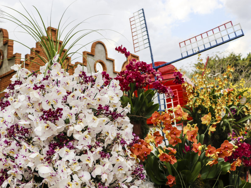 Fechamento da Expoflora 2019 4