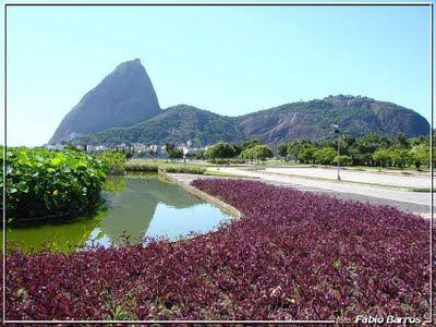 Aterro do Flamengo - Burle Marx