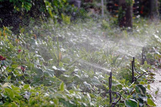 Nao disperdice agua 2