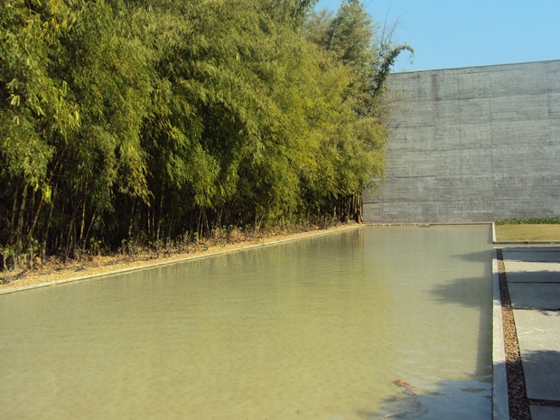 Sitio da Mata Bambu Projeto Natura cajamar 3