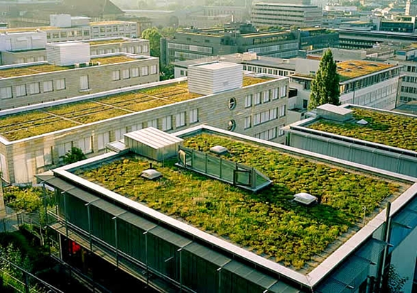 telhado verde 04