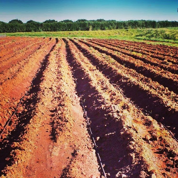 Aquadrop agricultura