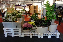 Enflor Garden Fair Holambra 9a