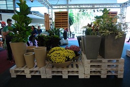 Enflor Garden Fair Holambra 9b