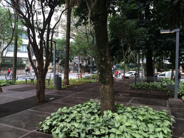 Parque Paulista Benedito Abbud 1