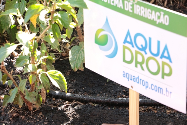Sistema de irrigação subterrânea Aquadrop