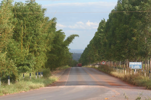 sitio da mata bambu 16