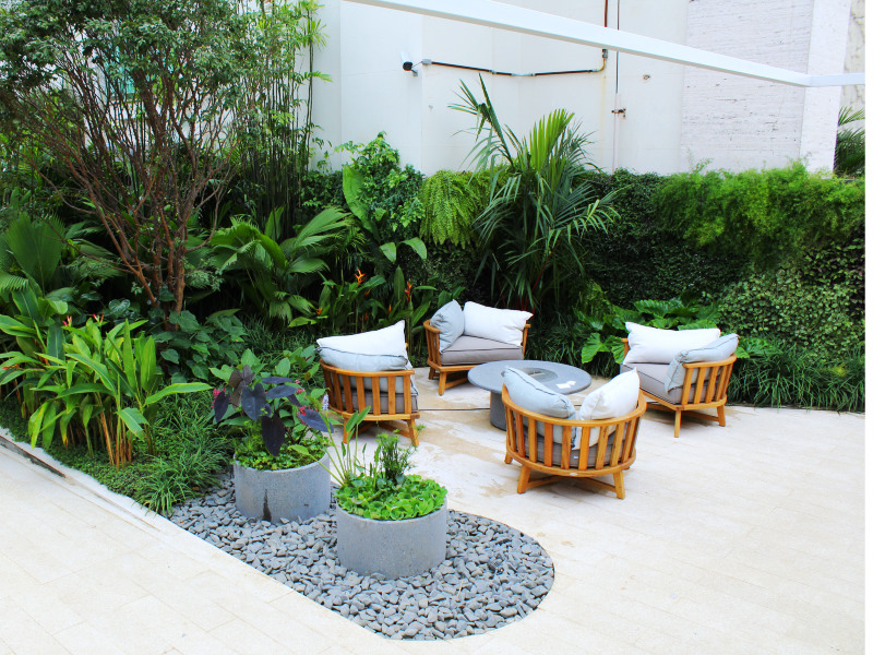 Jardim da Casa de Vidro Bia Abreu 1