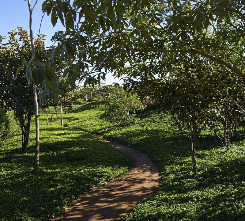 luiz carlos orsini anuario de paisagismo 3