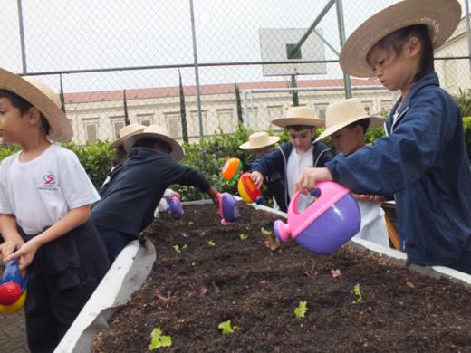 0.0.0_plantando_cidade_31