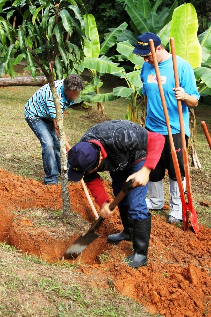 Aprendiz_de_Jardineiro_1